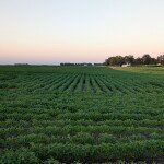 PXL_20250727_01342367253514185bff809a8